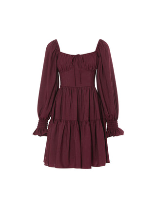 Elegant shirring design Sincethen Burgundy Shirring Mini Dress
